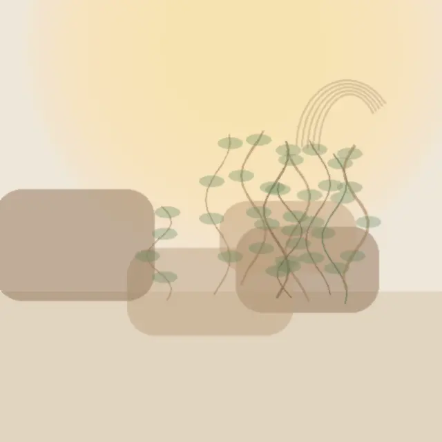 17c品牌生活视频策划人